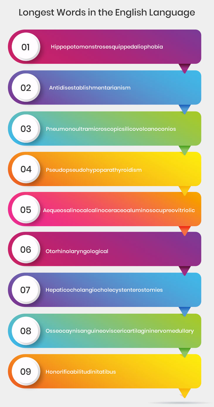 An Insight into The Top 10 Longest English Word in The English Language