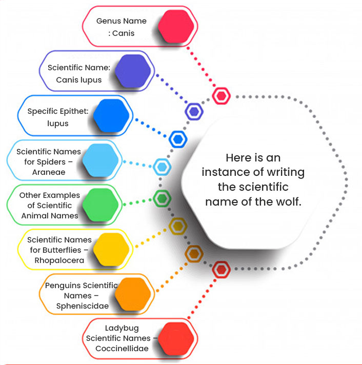 how-to-write-scientific-names-an-essential-guide-to-getting-a