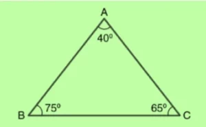 Acute Scalene Triangle