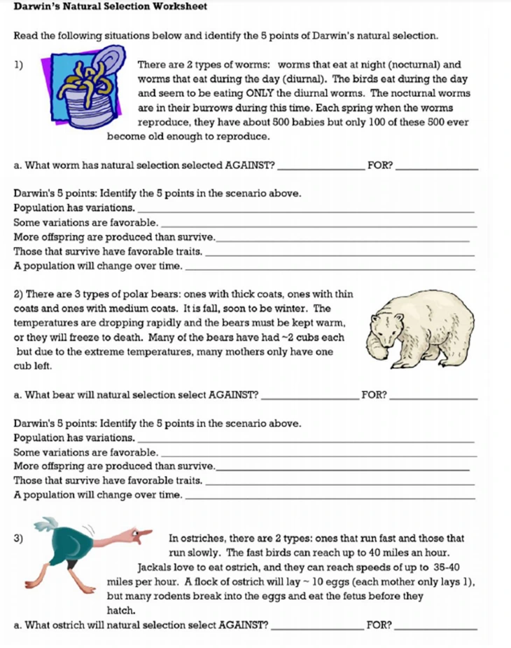 Darwin's Natural Selection Worksheet Read the following situations below and identify the 5 points