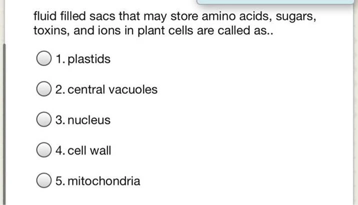 Complementary Base Pairing