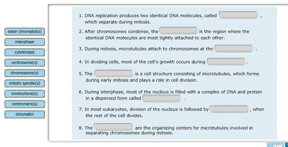 DNA Molecules